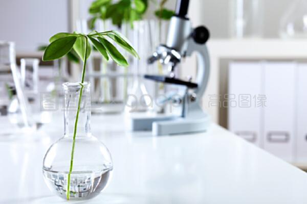 生物學(xué)實驗室中的綠色植物 自然科學(xué)研究的綠色引擎